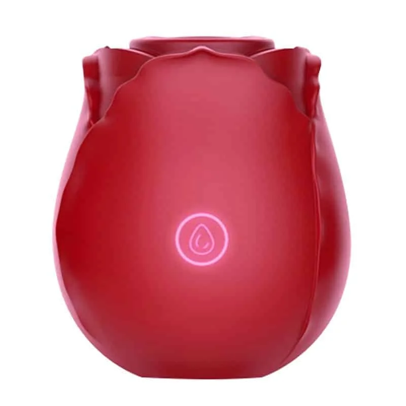 wickedsextoys27016
